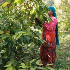 Nepal Bio – Image 3